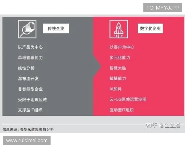 开云KY如何通过数字化转型提升品牌竞争力与用户体验