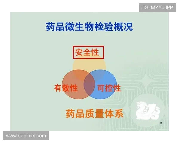 开云体育官方网站下载安全保障，确保你的设备信息安全无忧