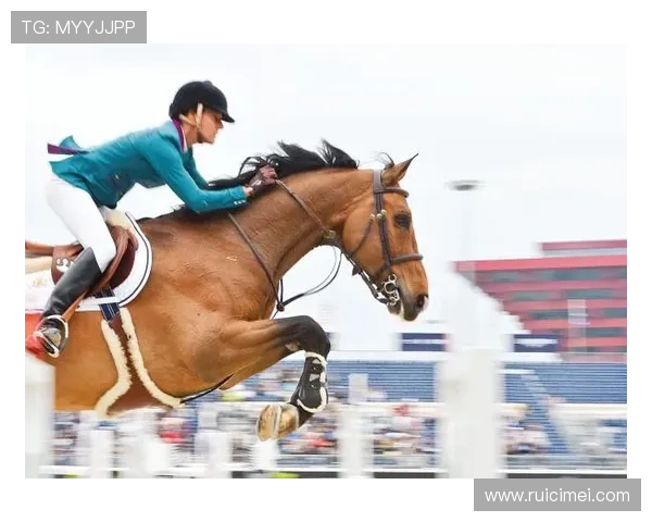 开云体育平台优惠码使用指南帮你轻松省钱体验精彩赛事
