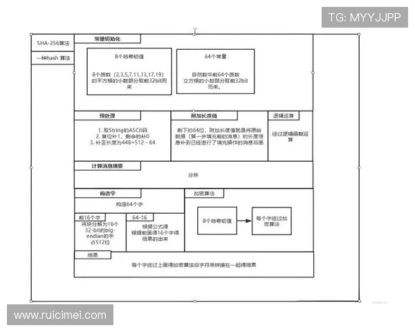 开云真人中国官方网站的注册流程详细介绍及账号安全保障措施