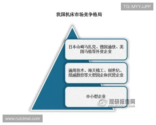 开云集团在中国市场的品牌布局与消费者策略研究