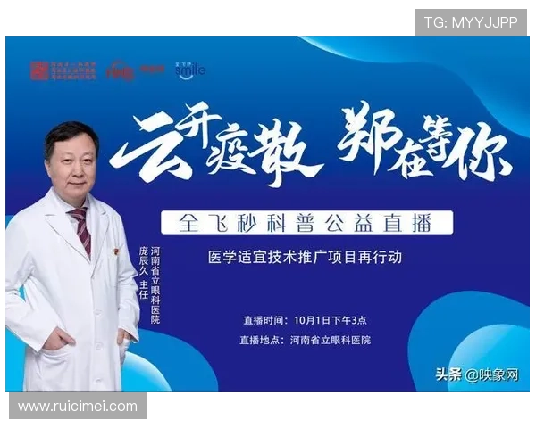 掌握开云登陆技巧，提升你的账号安全与使用效率