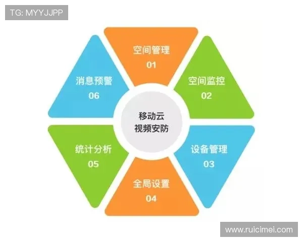 探索开云地址平台在现代物流管理中的重要作用与价值