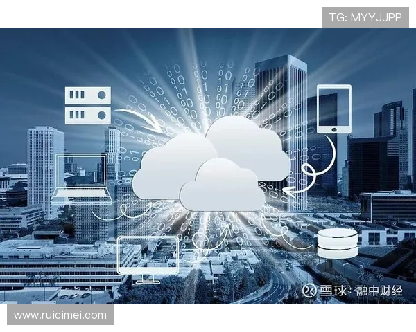 深度解析Kaiyun开云平台在数据管理与云计算中的核心优势