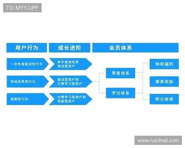 开云体育在线注册平台最新功能介绍与操作流程详解
