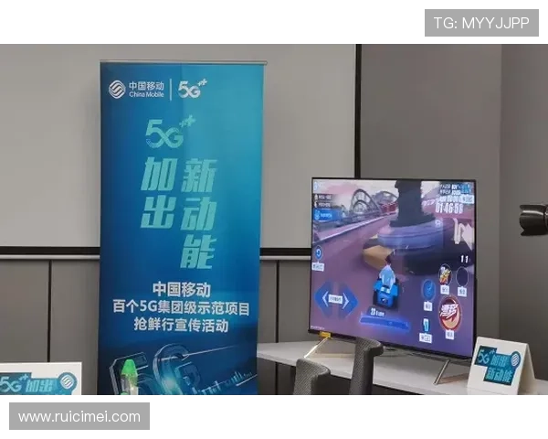 开云棋牌官网下载apk最新版本免费下载，安全稳定的游戏体验尽在掌握